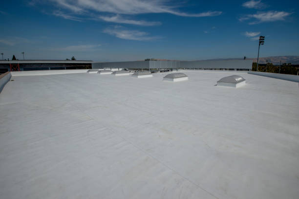 Best Roof Coating and Sealing  in Fort Rucker, AL