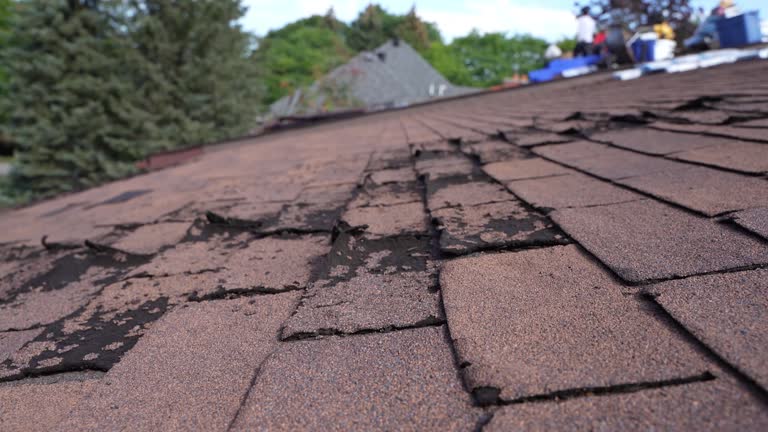 Best Metal Roofing Installation  in Fort Rucker, AL