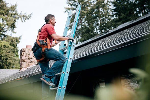 Best Roof Ventilation Installation  in Fort Rucker, AL