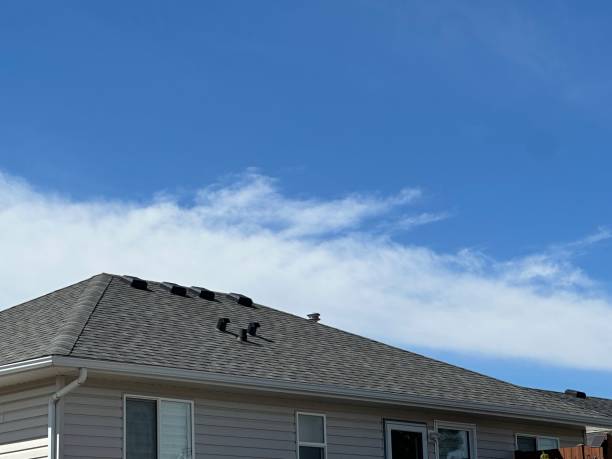 Best Asphalt Shingles Roofing  in Fort Rucker, AL